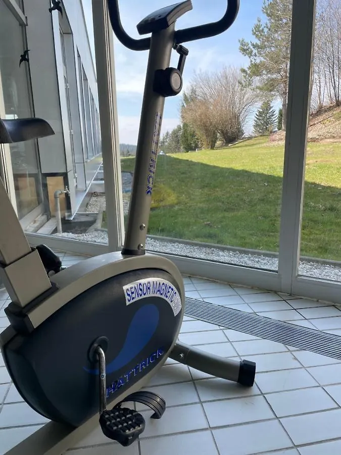 Dreisessel Dreilaendereck Pool Sauna Neureichenau