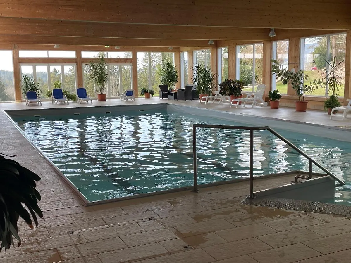 Dreisessel Dreilaendereck Pool Sauna Neureichenau Apartment