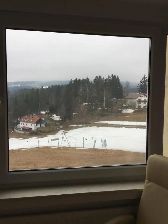 Apartment Dreisessel Dreilaendereck Pool Sauna Neureichenau